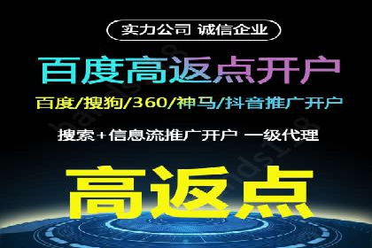 提升转化率：SEM广告投放的实战案例分享